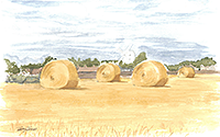 Essex: Nr Braintree