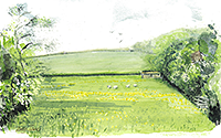 Devon: Nr South Molton