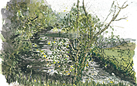 Devon: Confluence of Rivers Yeo & Mole