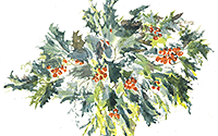  Holly