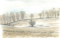 Royston: Frost on Golf Course