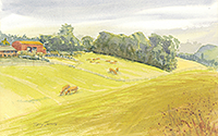 Chalfont: Homestead Farm