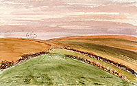 Exmoor: Nr Kinsford Gate