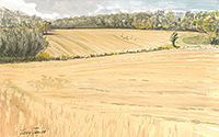 Grange Farm