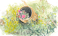 Majorcan Garden Pot